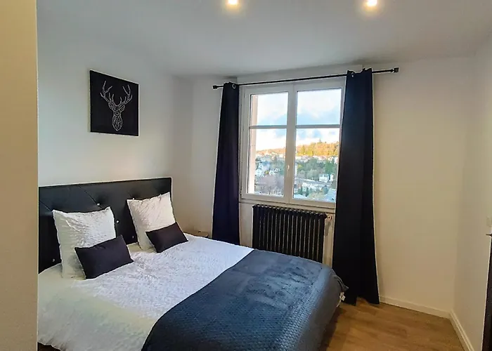 Foucault - - Au Coeur De Lourdes